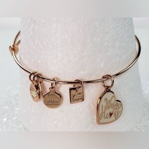 Alex and Ani charm  bracelet